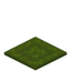 Cornered Green Carpet
