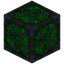 Green Xychorium Gem Storage 9x