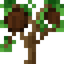 Coconut Sapling
