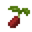 Chilipepper Seed