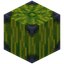 Melon 2x