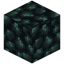 Primal Coal Block