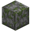 Polished Mossy Cobblestone