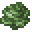 Lettuce