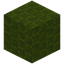 Wickered Green Wool