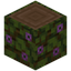 Flowering Jungle Log