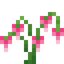Bleeding Heart