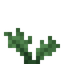 Weeds