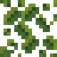 Leafy Vine