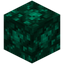 Block of Raw Malachite