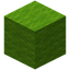 Lime Wool
