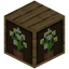 Botanical Oak Large Bookshelf