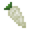 Parsnip