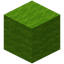 Lime Wool