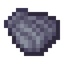 Clam