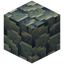 Sculk Carapace