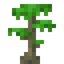 Grongle Sapling