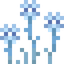 Icy Iris