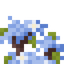 Blue Magnolia Shrub