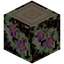 Night Fuchsia Log
