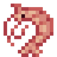 Shrimp
