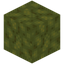 Bulby Sponge