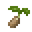 Waterchestnut Seed