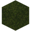 Moss Block