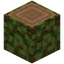 Overgrown Jungle Log