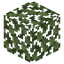 Skyroot Leaves