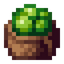 Spore Sack