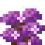 Mauve Shrub