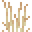 Sandy Tall Grass