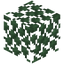 Slimy Leaves