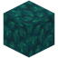 Scabbed Warped Wart Block