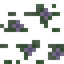 Flowering Carpet