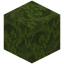 Old Moss Block