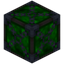 Green Xychorium Gem Storage 6x