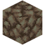 Block of Raw Platinum