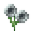 Glimmering Light Gray Flower