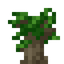 Ebony Sapling
