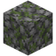 Trodden Mossy Cobblestone