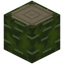 Palo Verde Log