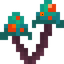 Double Warped Fungus