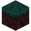 Warped Nylium