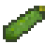 Zucchini