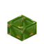 Lime Glazed Botany Pot