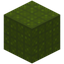 Tiled Green Wool