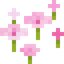 Pink Petals