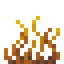 Golden Grass